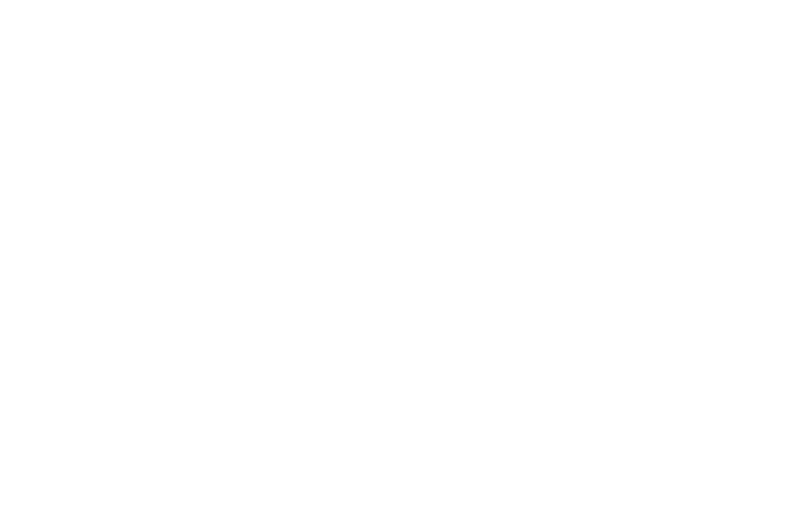 Philosophy - Moonies